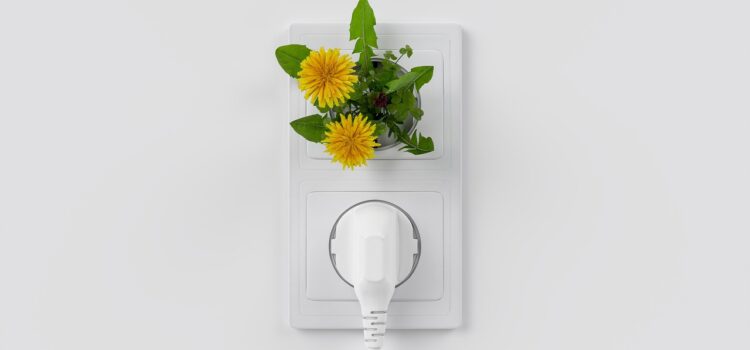 Groene energie, wat is dat eigenlijk